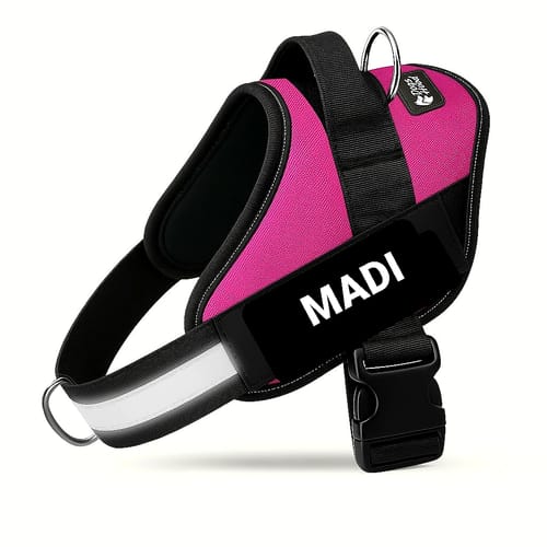 Reviewer's pink Pawfalks™ harness featuring the personalized name tag 'MADI'.